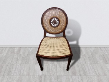 French Medallion Cane Weave